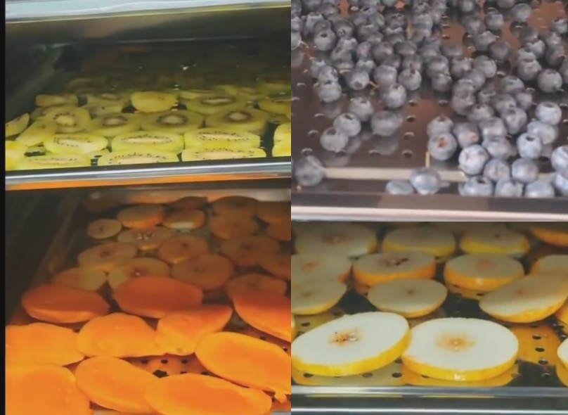 304 Trays