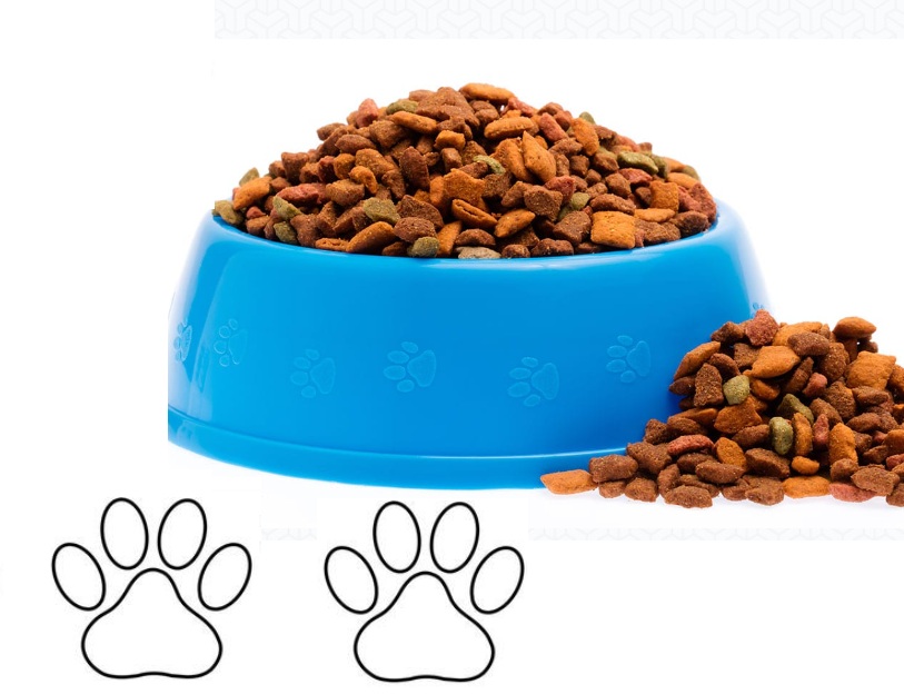 Pet Food Dryer